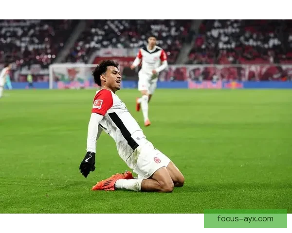 和睦法兰克福俱乐部的荣耀征程与未来蓝图探索欧洲赛场风云与青训传承