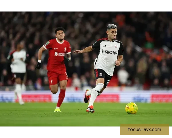 富勒姆足球俱乐部的辉煌历史与未来发展展望