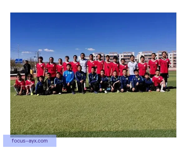 和睦法兰克福俱乐部：传承与创新交织下的足球梦想与未来展望