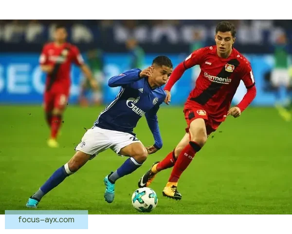 图卢兹俱乐部宣布新赛季阵容调整 目标争夺欧洲赛场资格 图卢兹俱乐部宣布新赛季阵容调整 目标争夺欧洲赛场资格