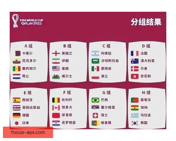 世界杯全程免费直播观看指南轻松掌握尽享精彩赛事